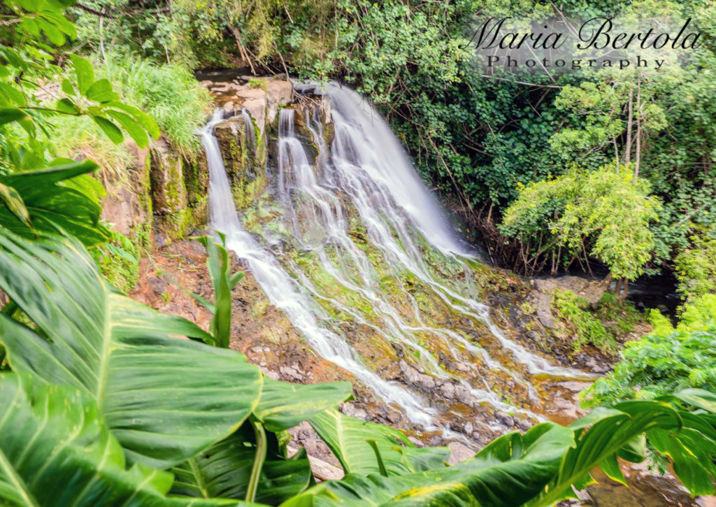 Hoopii Falls - Kauai, HI